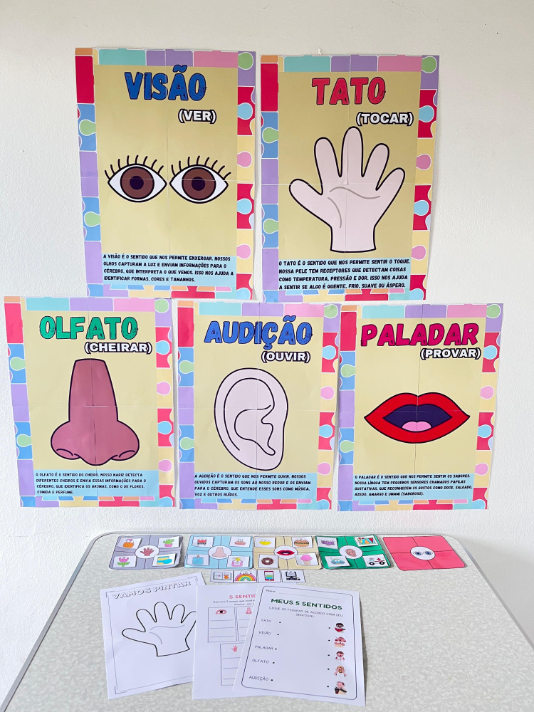 Os 5 sentidos